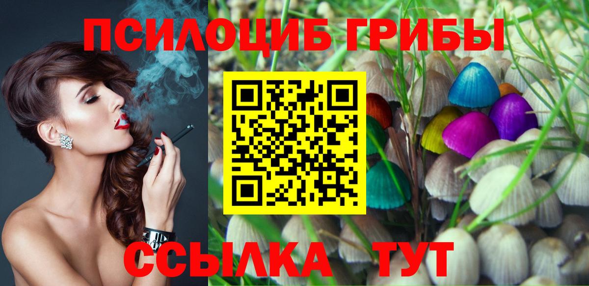 Псилоцибиновые грибы GOLDEN TEACHER  Вход с VPN  Вольск 