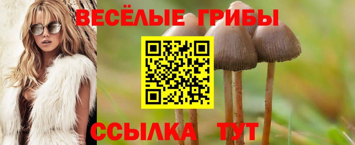 Галлюциногенные грибы MAGIC MUSHROOMS Вольск
